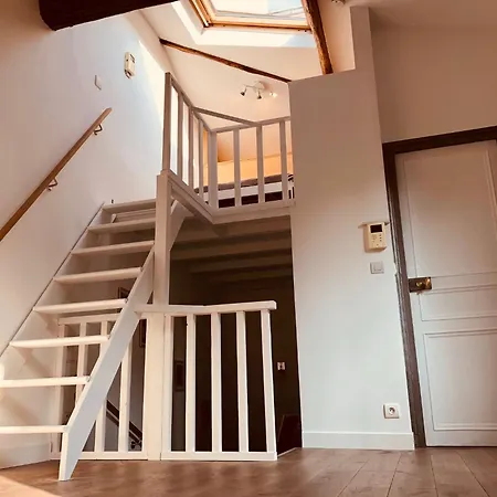 Duplex De Luxe Parigi