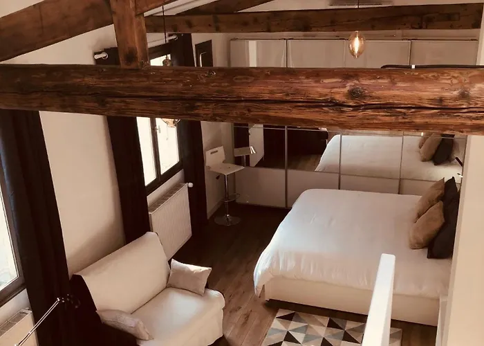 Duplex De Luxe * Paris